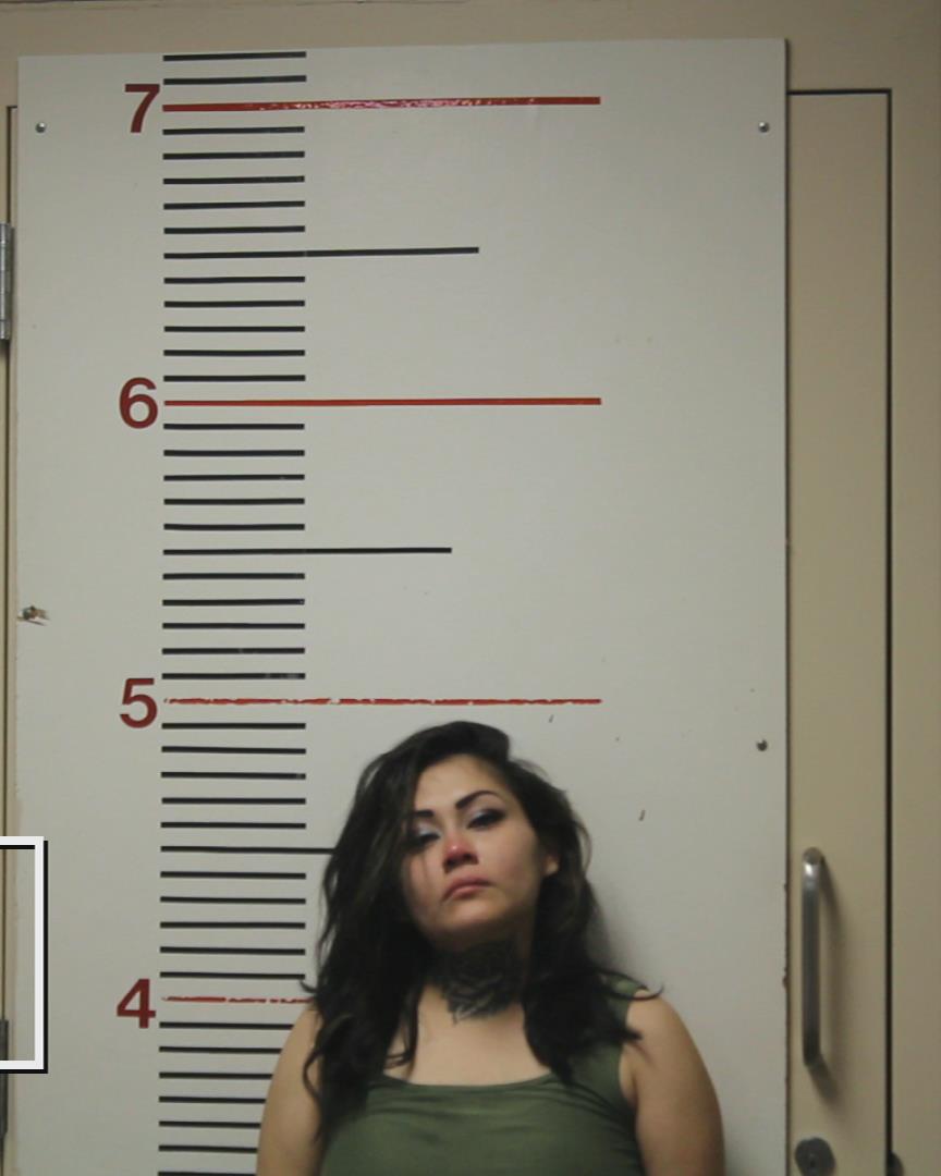 CHAVEZ, YESENIA MESHEL booking photo