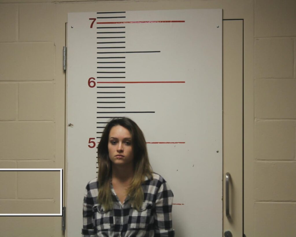 TOUDOUZE, SUSANNAH ELAINE booking photo