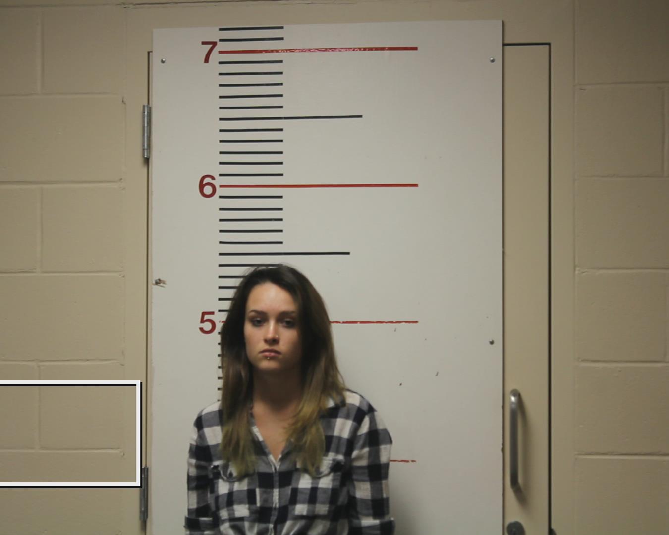 TOUDOUZE, SUSANNAH ELAINE booking photo