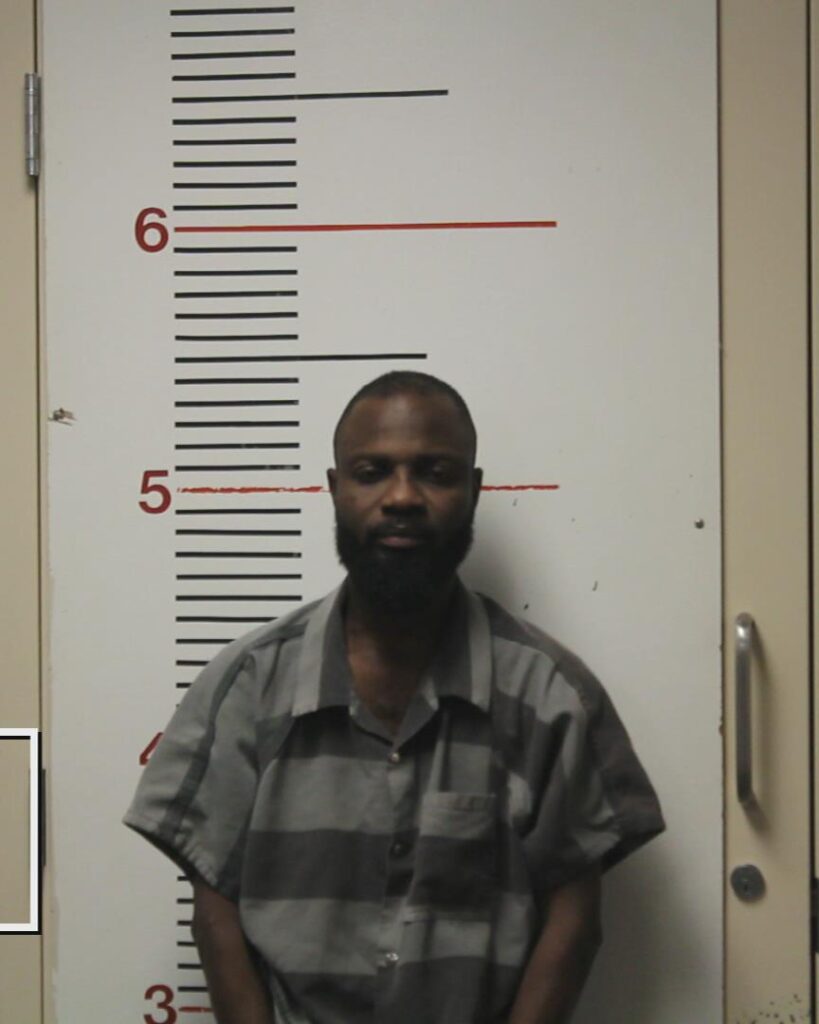 GODONU, MICHAEL SEGBENU booking photo