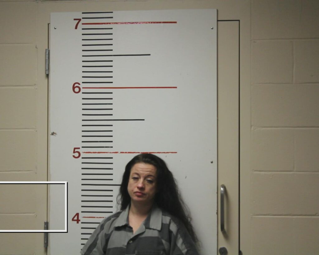 MELSON, MAGAN DANIELLE booking photo