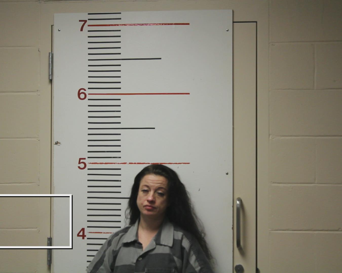 MELSON, MAGAN DANIELLE booking photo