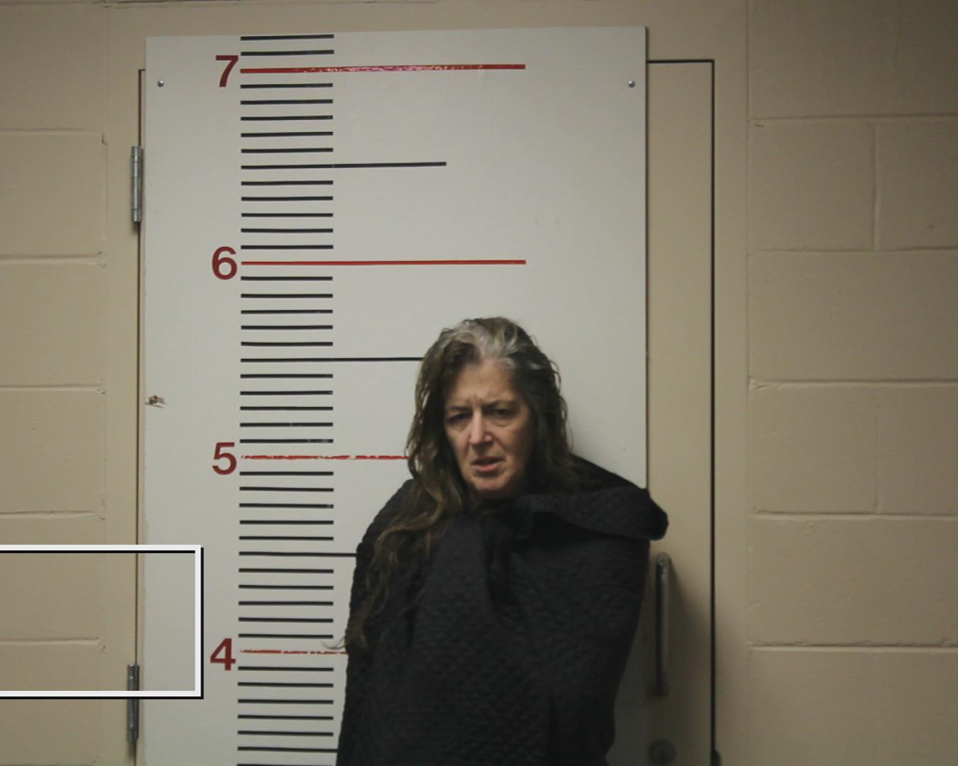 MARTIN, RACHAEL LEGGETT booking photo