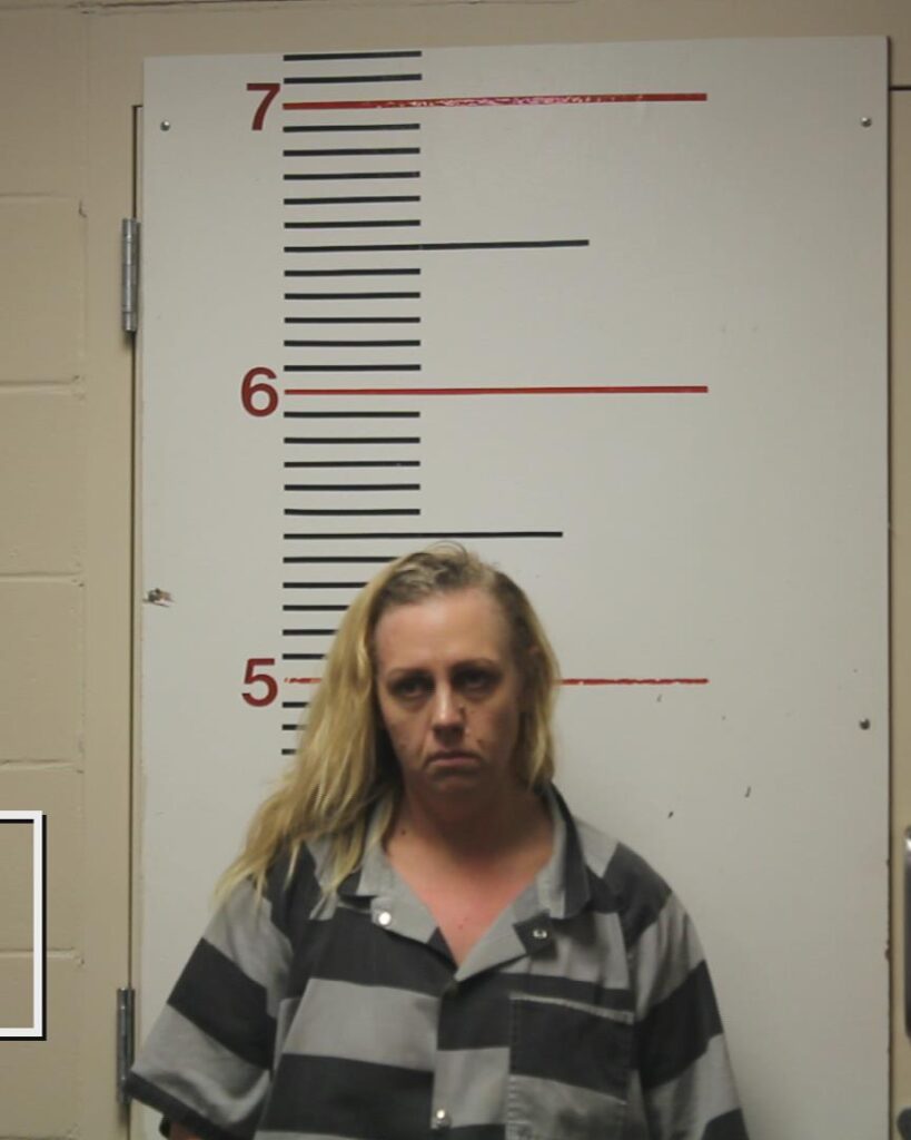 LONDON, SHAUNA booking photo