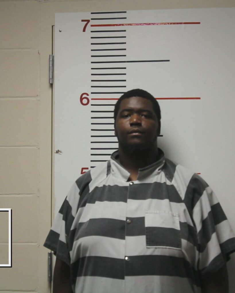 BROWN, RICKY LEE booking photo