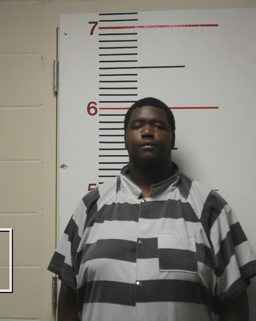 BROWN, RICKY LEE booking photo