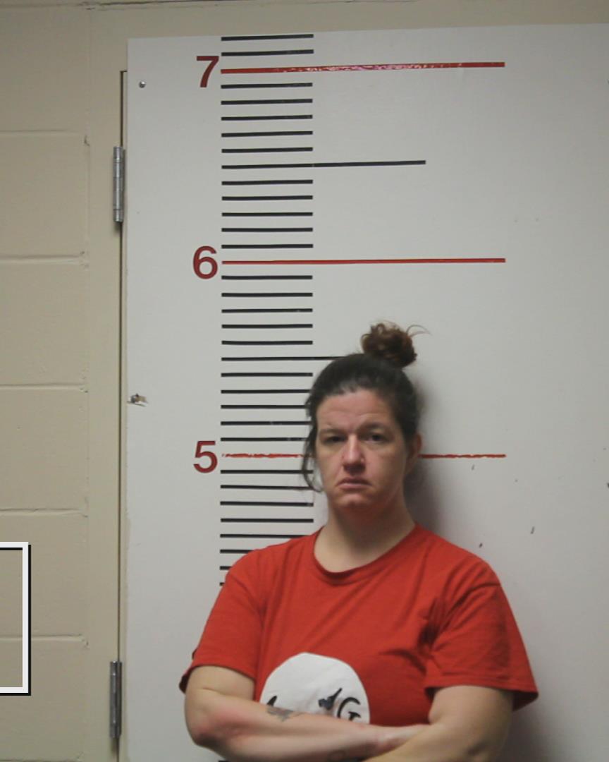NORSWORTHY, TIFFANY ERIN booking photo