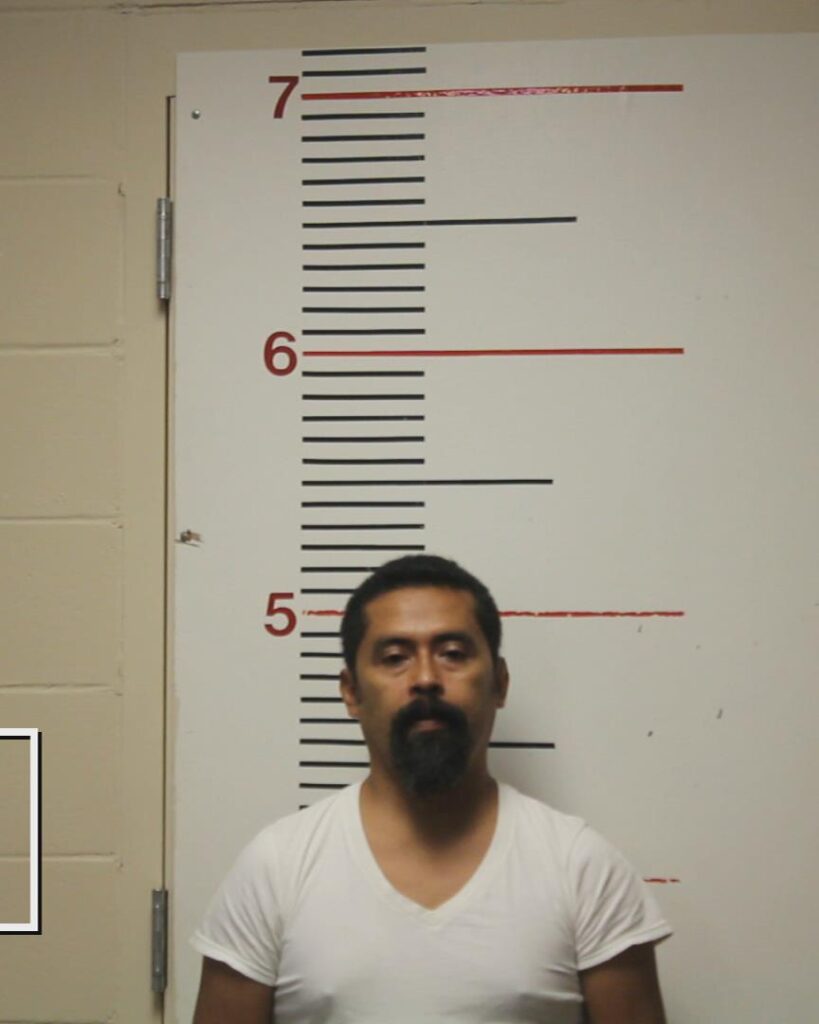 MARTINEZ OLVERA, RAUL arrested in Anderson County, Texas mugshot
