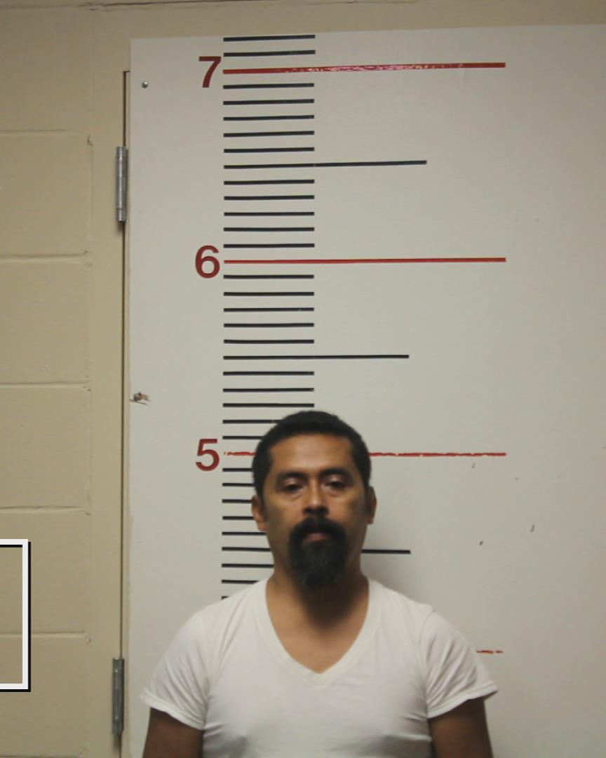 MARTINEZ OLVERA, RAUL booking photo