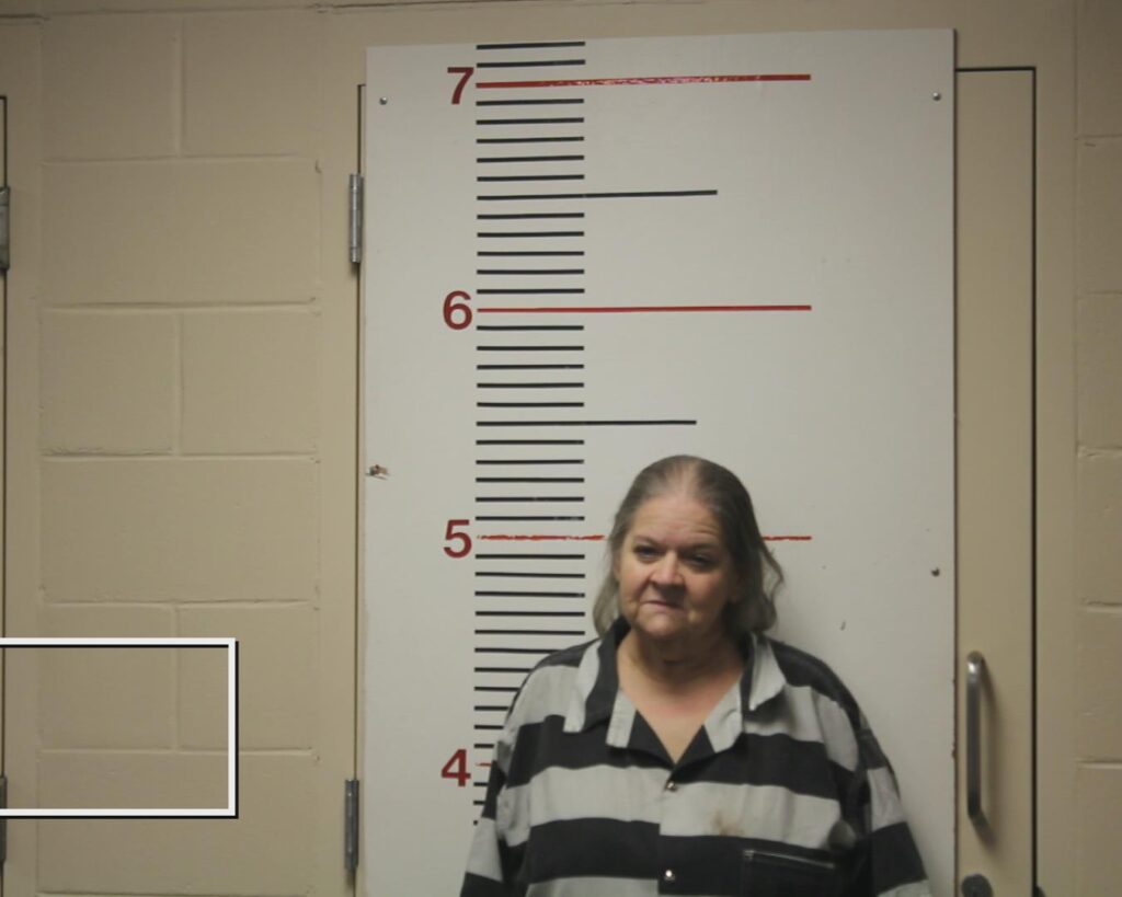 PORTER, TERRI ANN arrested in Anderson County, Texas mugshot