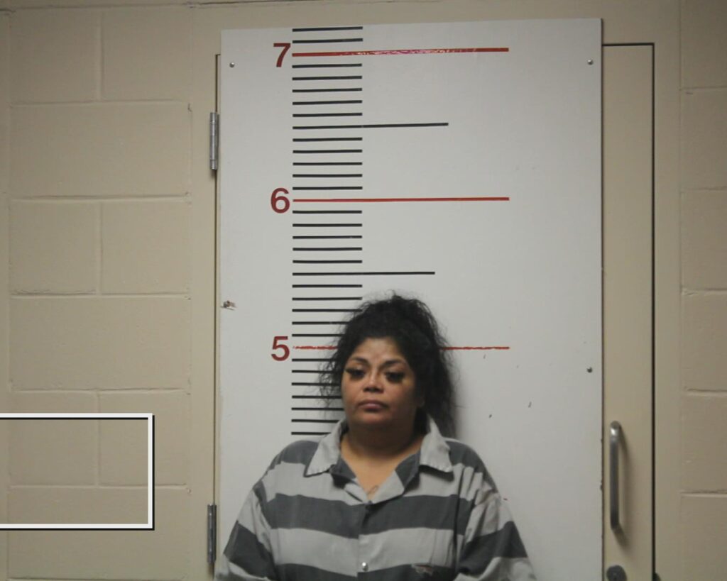 DUARTE, JAZMINE ELIZABETH arrested in Anderson County, Texas mugshot