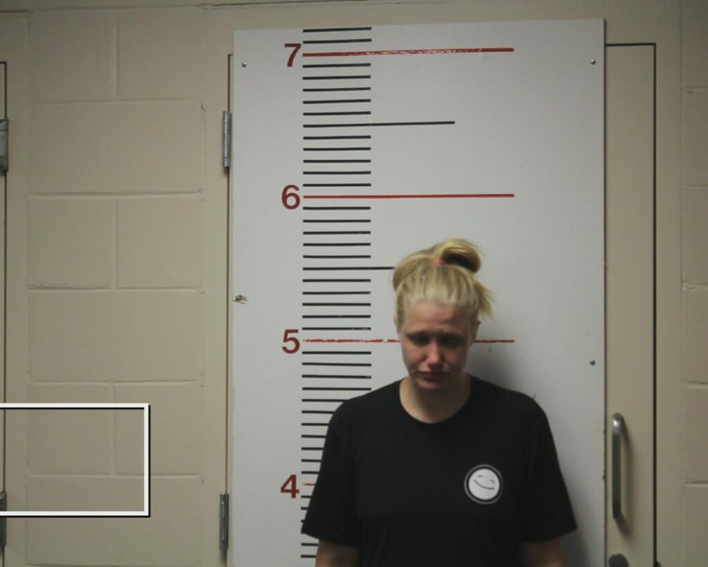 LEFEVRE, CATHERINE ELIZABETH arrested in Anderson County, Texas mugshot