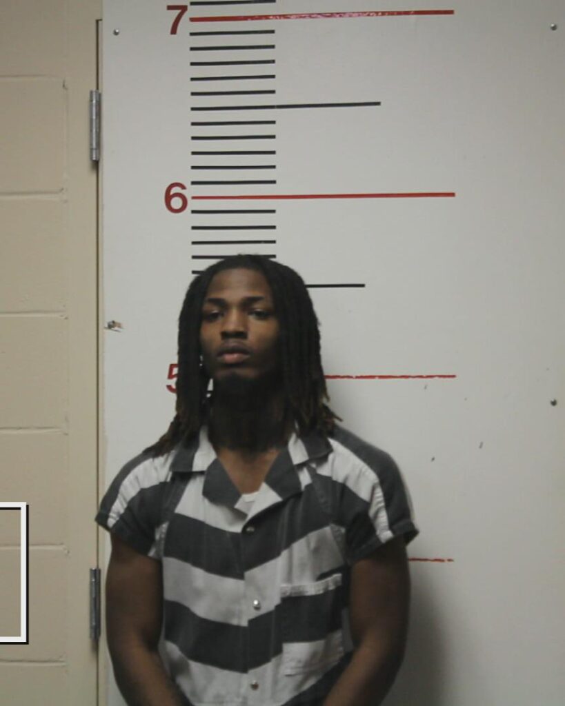 GARDNER, TRISHTOHN MARCEL arrested in Anderson County, Texas mugshot