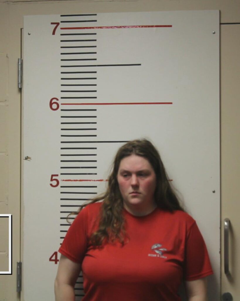 MILLS, KELSEY CHRISTEEN arrested in Anderson County, Texas mugshot