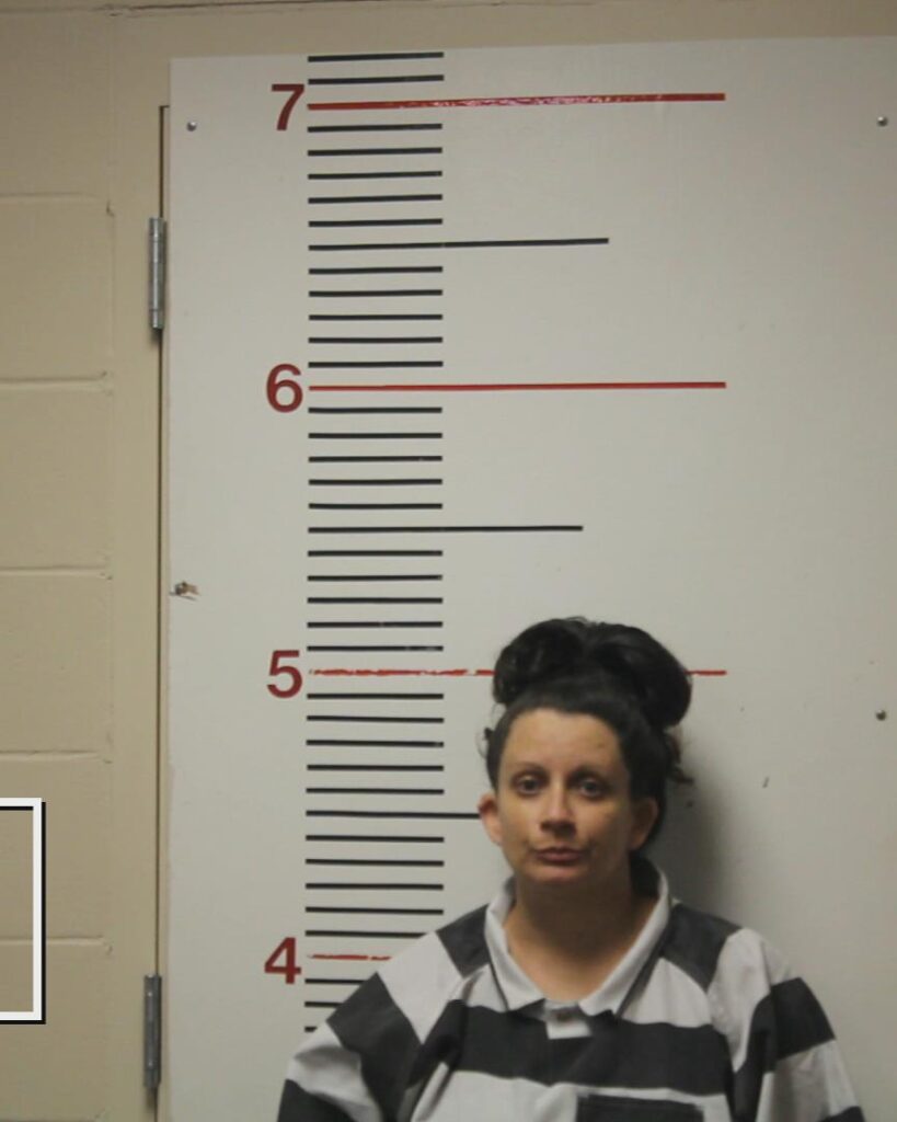 NEMETH-SIMPSON, ANGELA CHRISTINE arrested in Anderson County, Texas mugshot