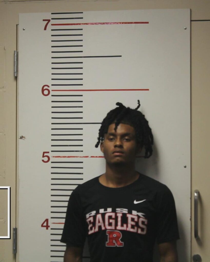 HILL, ARTHUR SHAKUR arrested in Anderson County, Texas mugshot