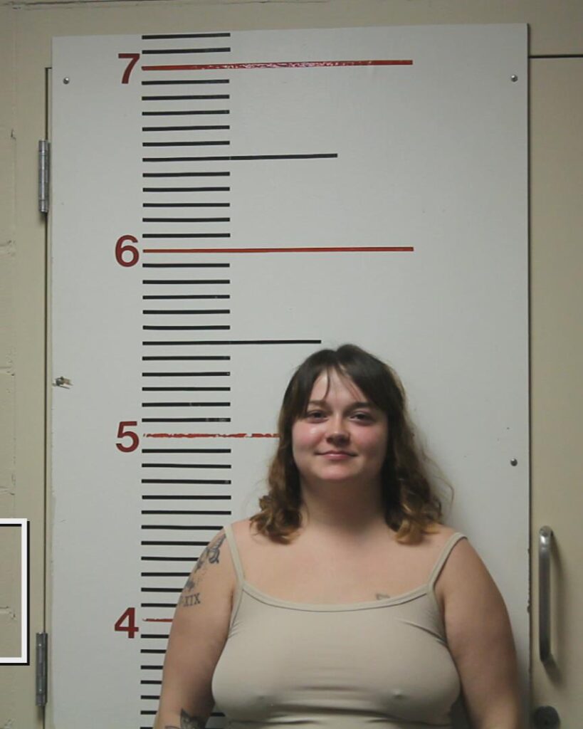 MURPHY, SIERRA BREANN arrested in Anderson County, Texas mugshot