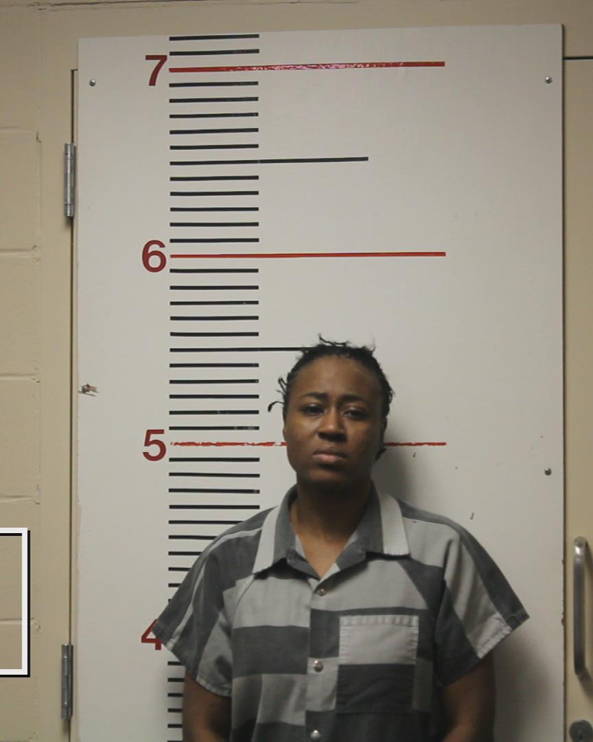 WALKER, CHRISTINA TONEKA booking photo