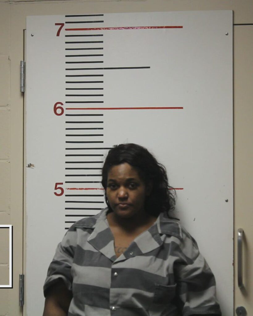 PATTERSON, OCTAVIA TAESHON arrested in Anderson County, Texas mugshot