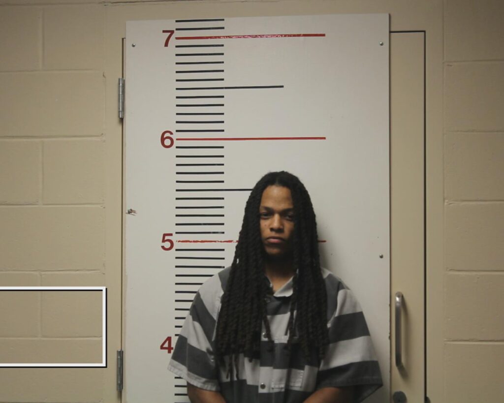 LANDOR, JAMES LAMONT, Jr. arrested in Anderson County, Texas mugshot