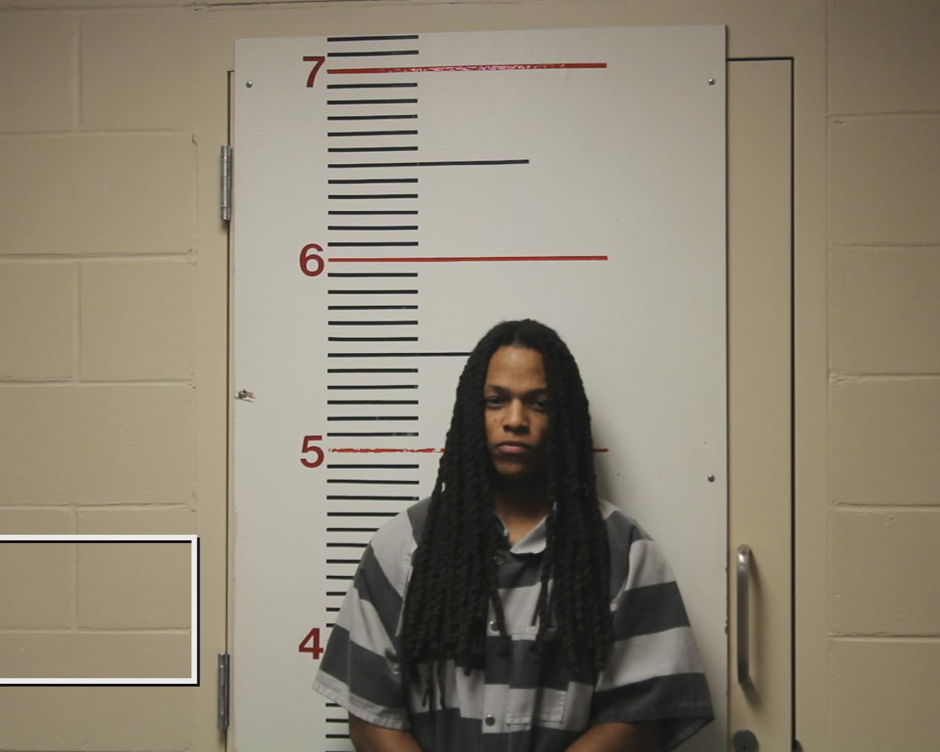 LANDOR, JAMES LAMONT, Jr. booking photo