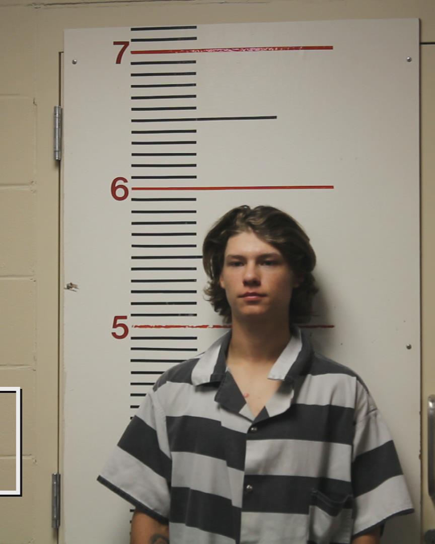 DAVIS, JOHN WILLIAM booking photo