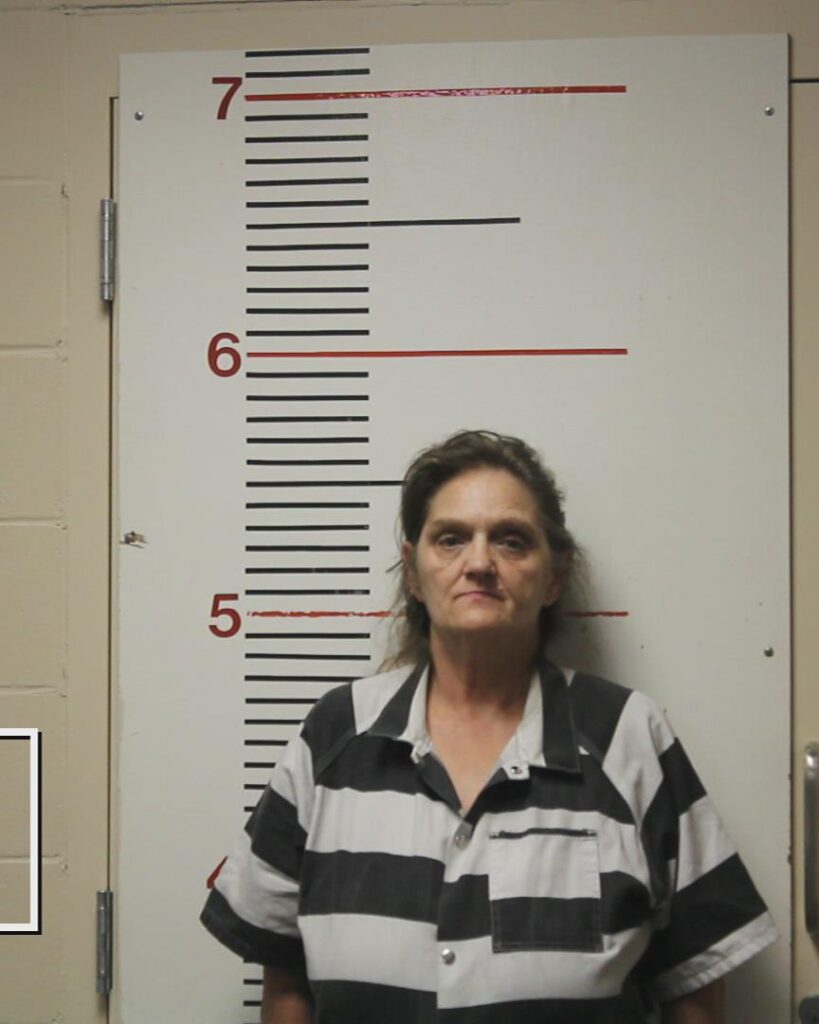 WHITE, WILMA CHARLINE arrested in Anderson County, Texas mugshot