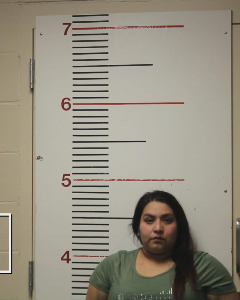 AUSTIN, YOLANDA arrested in Anderson County, Texas mugshot