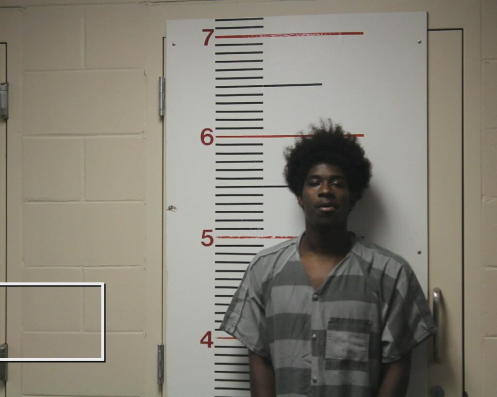 BIRDOW, TACOBY DAEVON arrested in Anderson County, Texas mugshot