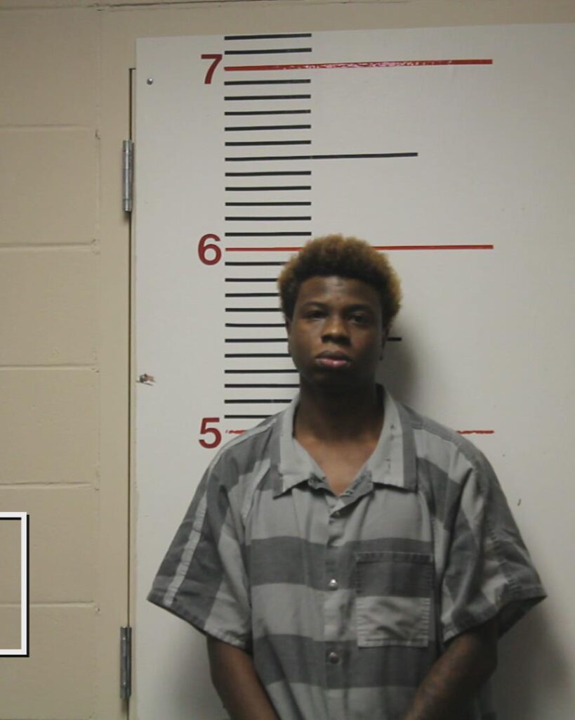 BILLUPS, TIDARRIUS DEMOND arrested in Anderson County, Texas mugshot