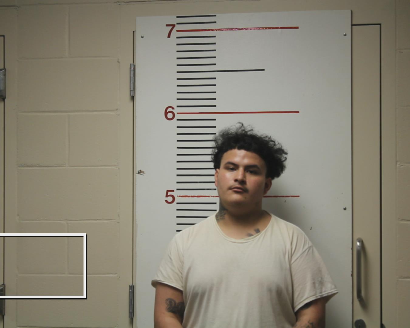 LOAEZA, CHRISTOPHER RICARDO booking photo