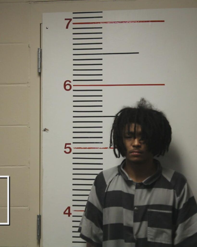 LYLES, SEDONTA RASHAD arrested in Anderson County, Texas mugshot
