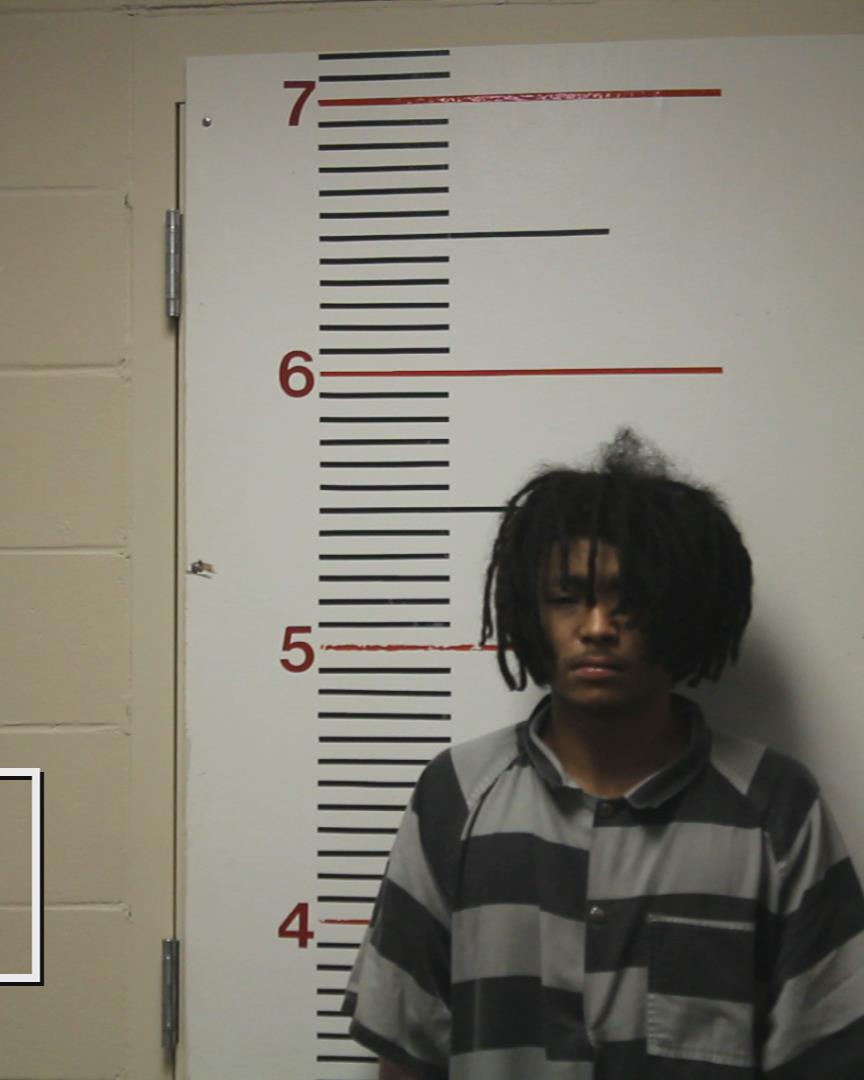 LYLES, SEDONTA RASHAD booking photo