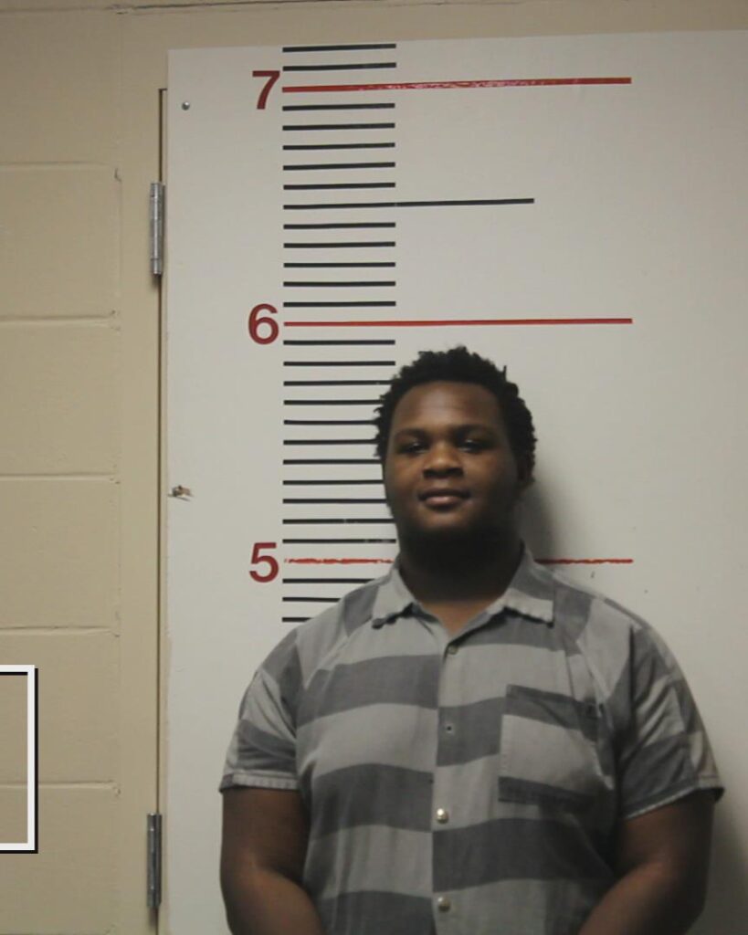 DELANE, SEMAJE TAKYME arrested in Anderson County, Texas mugshot