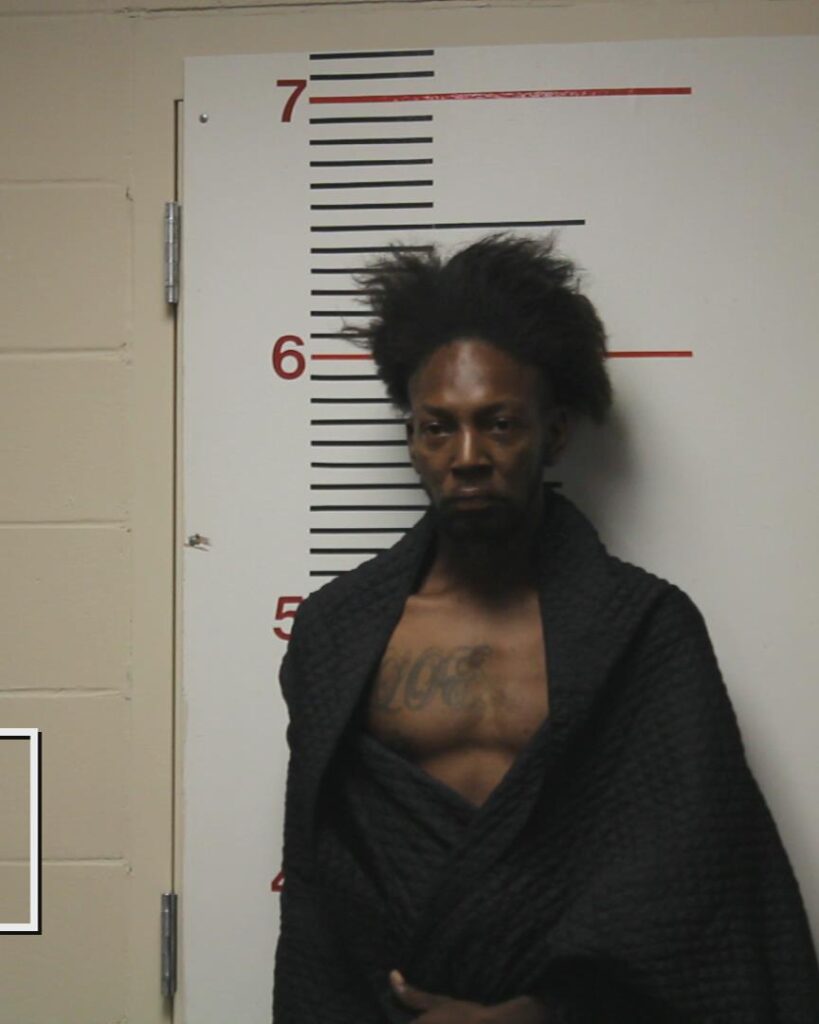 BRYANT, CLARENCE BRADY arrested in Anderson County, Texas mugshot