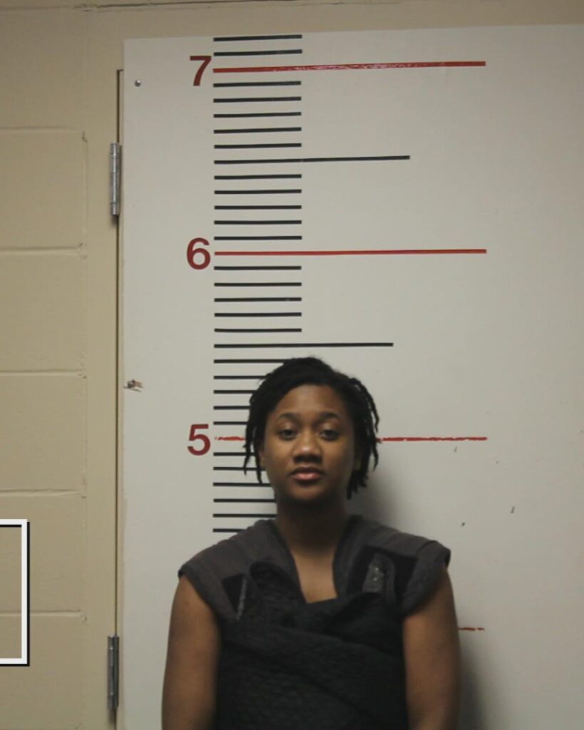 THOMPSON, JADA ROCHELLE FANTASIA MARIE arrested in Anderson County, Texas mugshot