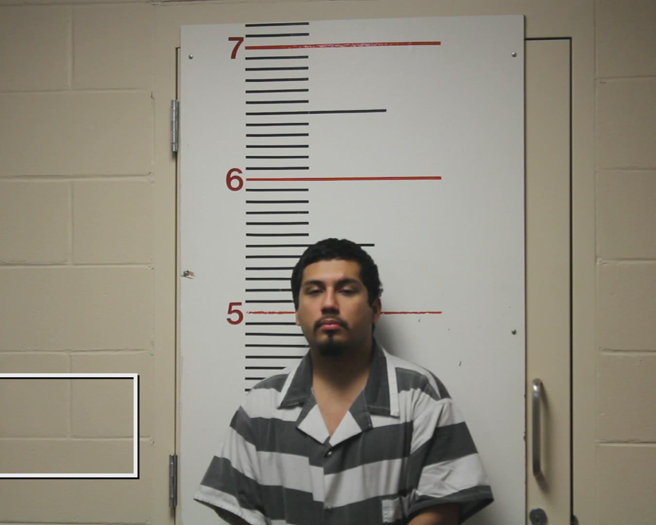 LEYVA, RAMON booking photo