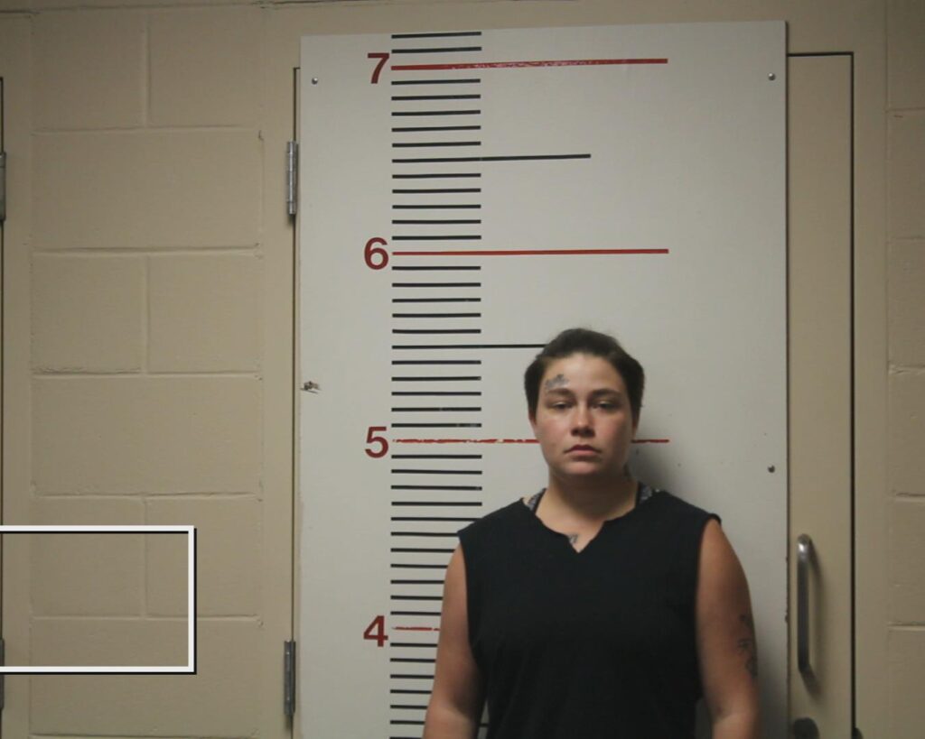 GONZALES, KAYE ESTHER arrested in Anderson County, Texas mugshot