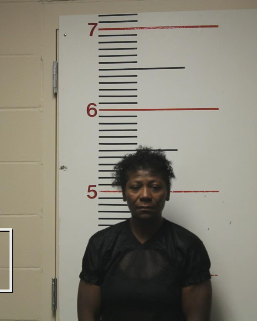 JOHNSON, EALINE arrested in Anderson County, Texas mugshot