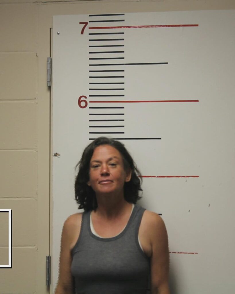 BRUCE, BRANDE LEA arrested in Anderson County, Texas mugshot