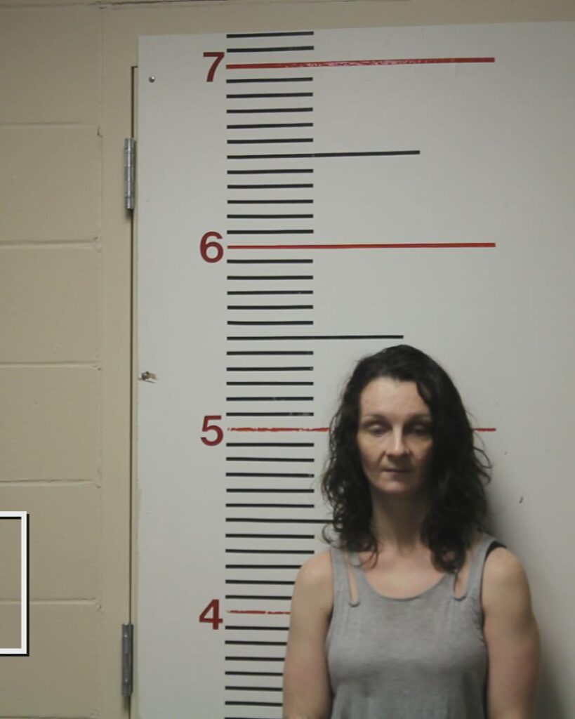 THOMPSON, KATHERYN MICHELLE arrested in Anderson County, Texas mugshot