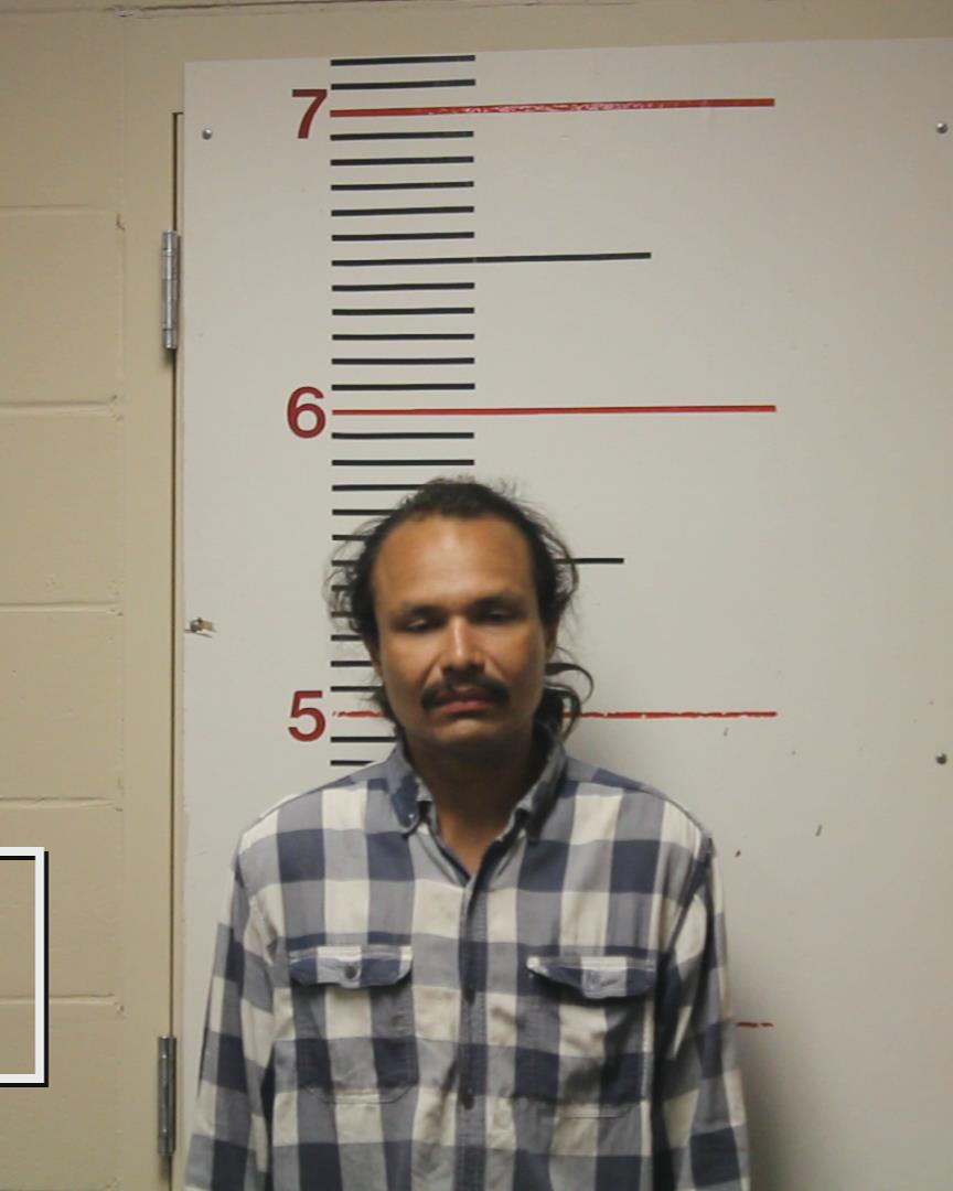 HERNANDEZ, GABRIEL ISAIAH booking photo