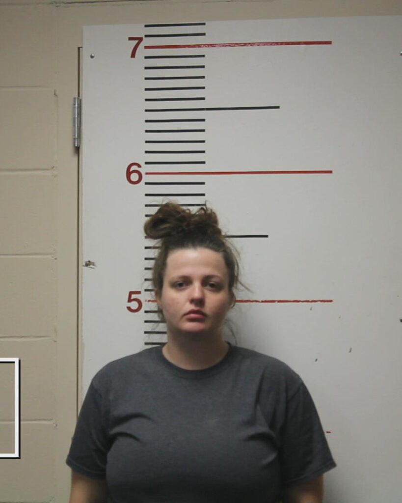 MCKINNEY, KEELY SHAE arrested in Anderson County, Texas mugshot