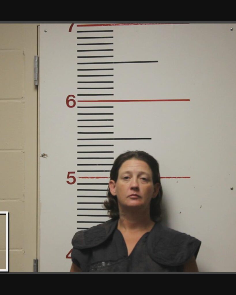 KEMP, STEPHANIE ANN arrested in Anderson County, Texas mugshot