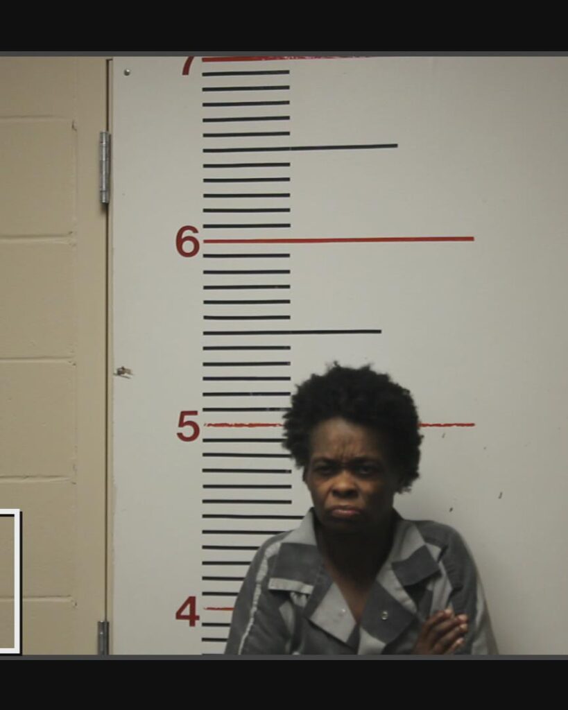 BROOKS, TIFFANY SHARONDAY arrested in Anderson County, Texas mugshot