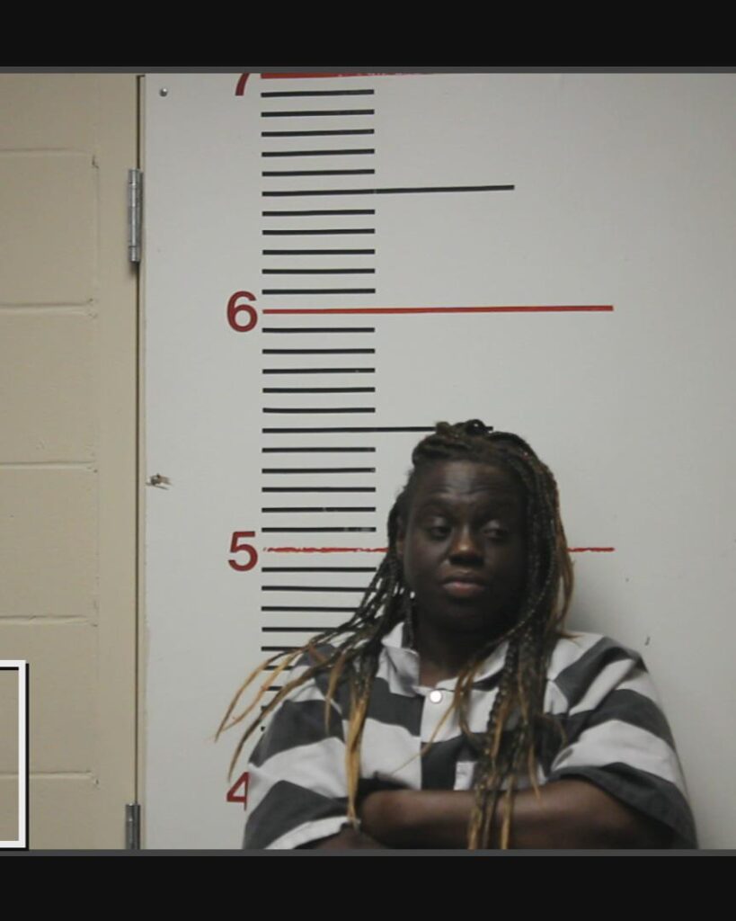 DONNELL, KATRINA DENISE arrested in Anderson County, Texas mugshot
