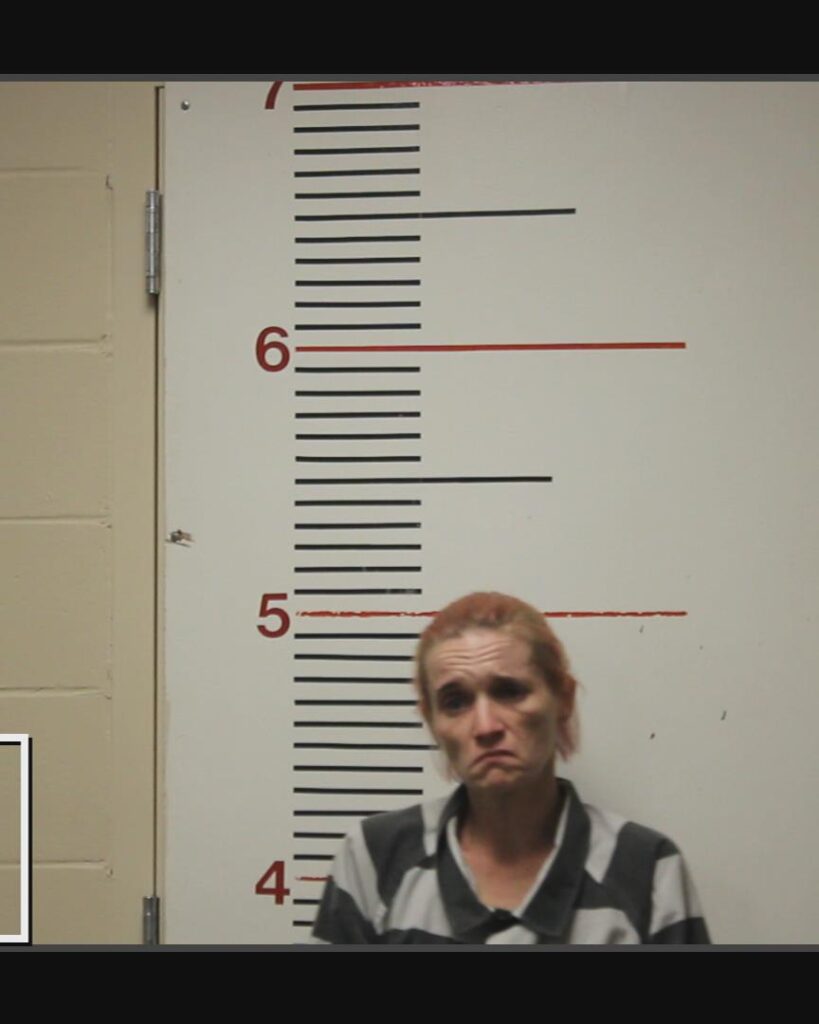 PINKARD, WANDA DELL arrested in Anderson County, Texas mugshot