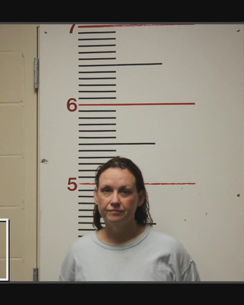 DEFREESE, CELESTE arrested in Anderson County, Texas mugshot