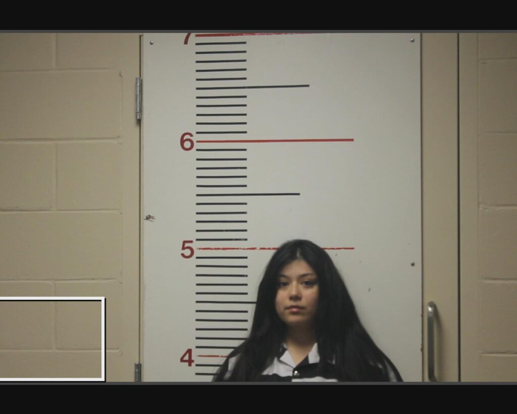 CARRASCO, ANGELITA arrested in Anderson County, Texas mugshot