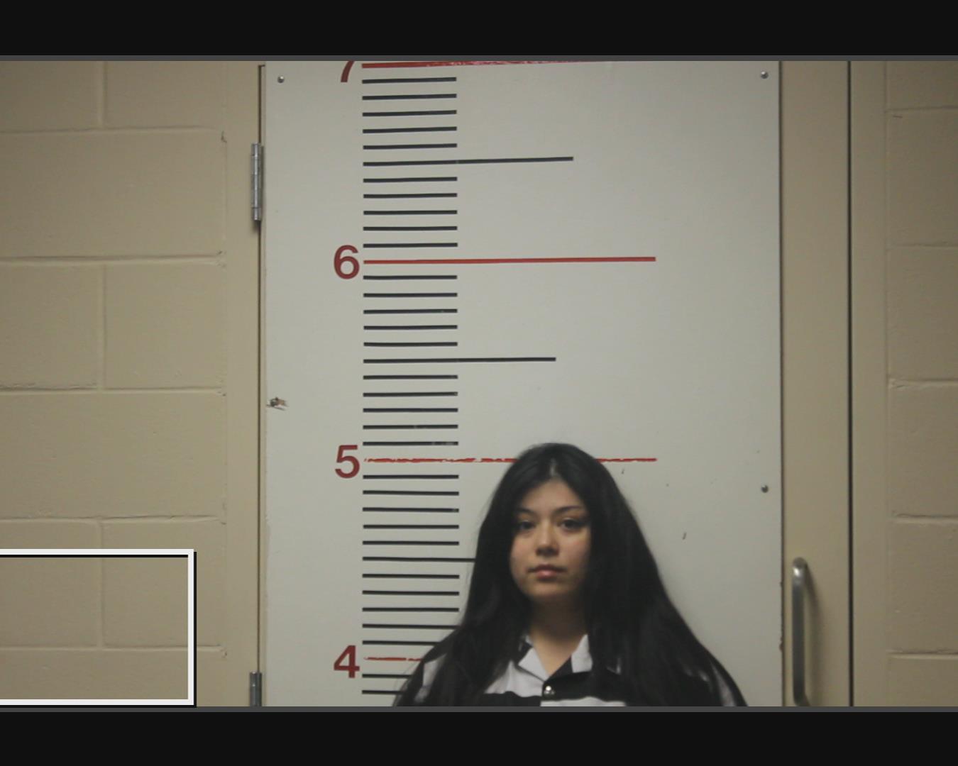 CARRASCO, ANGELITA booking photo